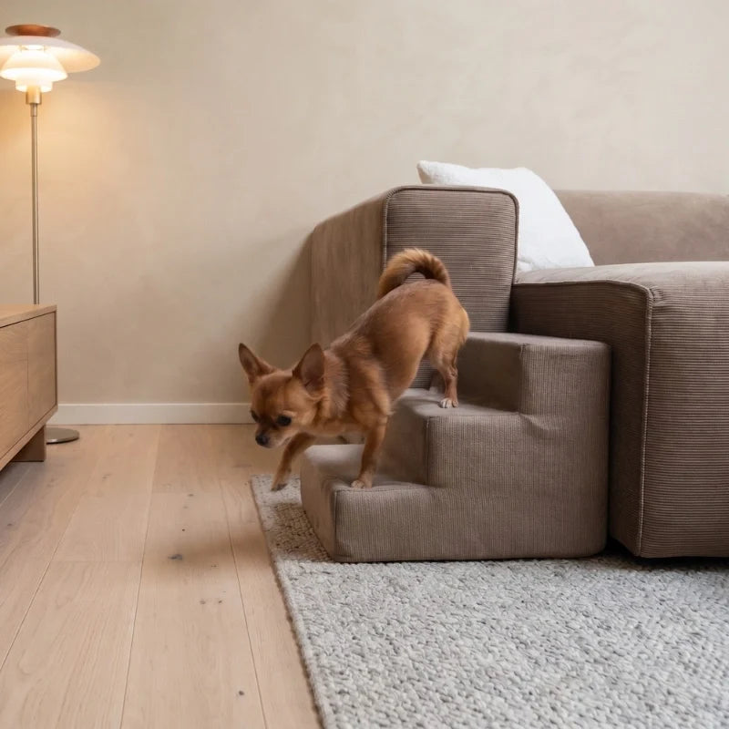 Hundezubehör